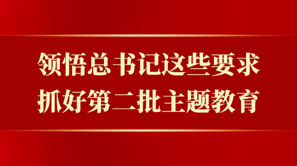 意会总书记这些要求，，，，，，，抓好第二批主题教育